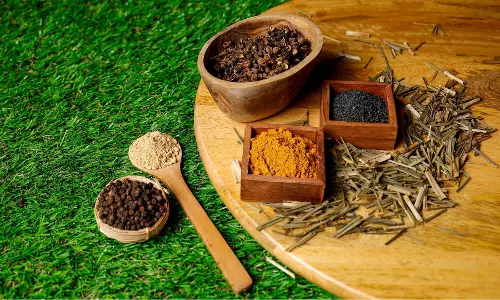 This week, were exploring the potency of Meghalayan spices, the voices who champion them and of course, Squid Game candy This week, were exploring the potency of Meghalayan spices, the voices who champion them and of course, Squid Game candy